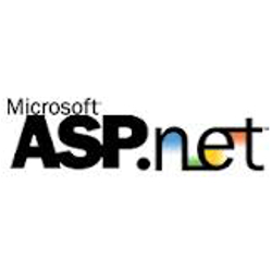 MS ASP.NET web site programmer Denver CO